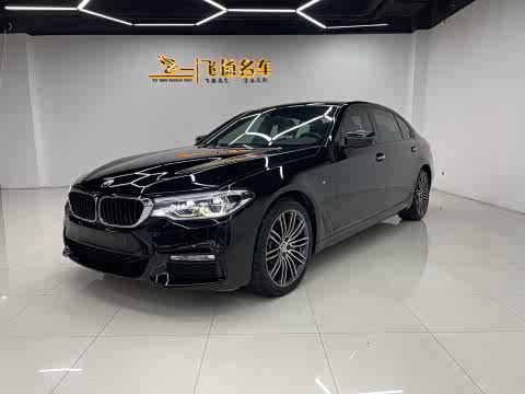 BMW 5-Series 2018 530 Li Leading M — фото 17