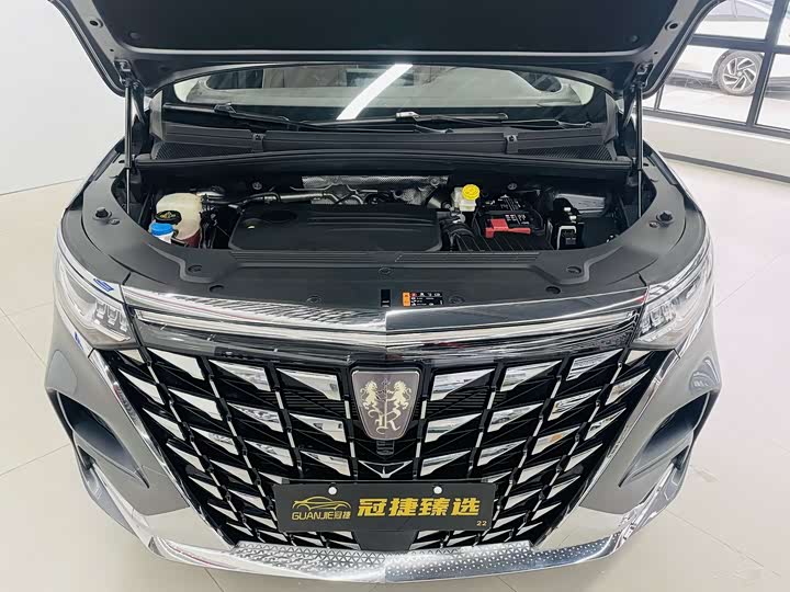 Roewe i MAX 8 2023 400 TGI — фото 2