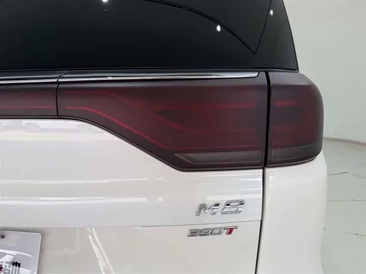 Trumpchi M8 2021 390 T — фото 10