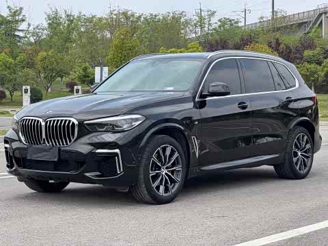 BMW X5 2022 x Drive 30 Li M — фото 19