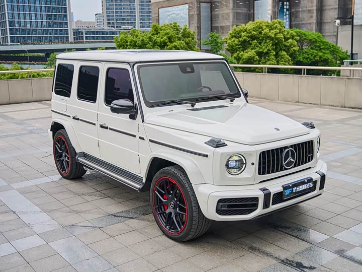 Mercedes-Benz G-Class 2019 G 500 — фото 10
