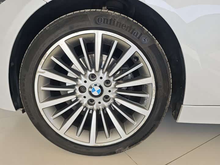 BMW 3-Series 2018 320 Li Leading — фото 30