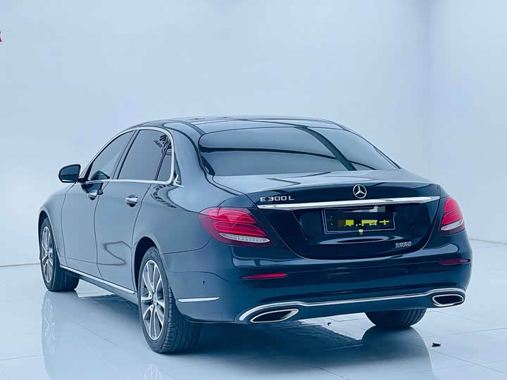 Mercedes-Benz E-Class 2019 E 300 L Luxury — фото 6