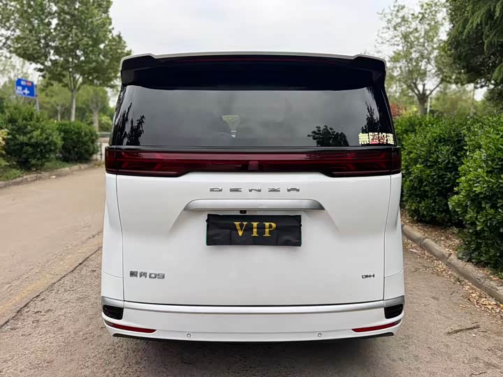 Denza D9 2024 DM-i 970 Luxury — фото 8