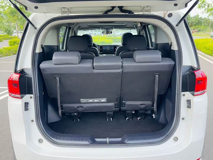 Trumpchi M8 2024 390 T — фото 24