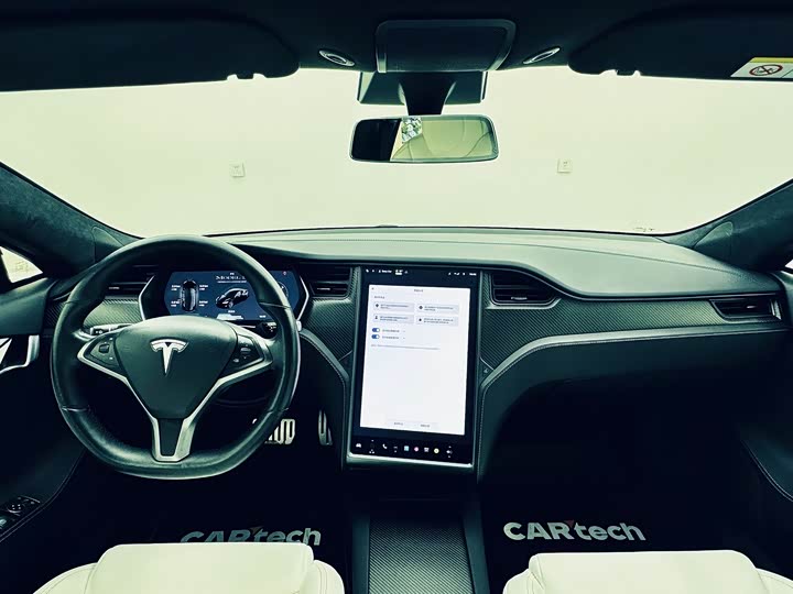 Tesla Model 2020 Performance — фото 10