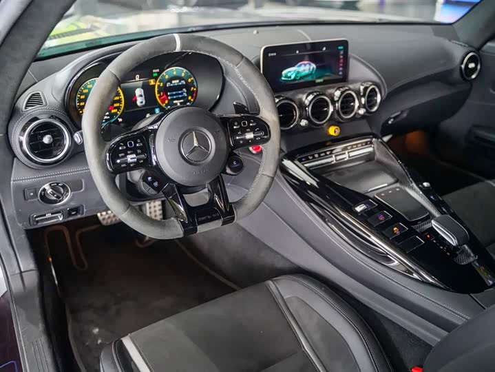 Mercedes-Benz AMG 2019 AMG GT R PRO — фото 20