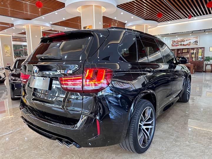BMW X5 M 2015 X 5 M — фото 4