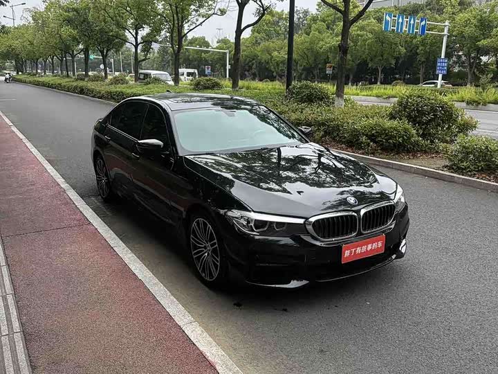 BMW 5-Series 2019 530 Li Leading M — фото 3