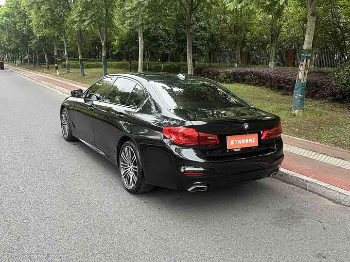 BMW 5-Series 2019 530 Li Leading M — фото 10