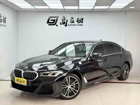 BMW 5-Series 2022 530 Li Leading M — фото 30