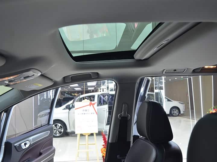 Trumpchi M6 2023 PRO 270 T DCT — фото 13