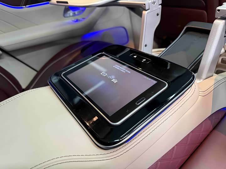 Maybach GLS 2021 GLS 480 4 MATIC — фото 24