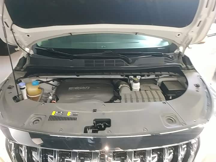 Trumpchi M8 2021 390 T — фото 20
