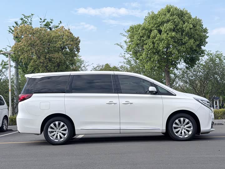 Trumpchi M8 2018 320 T — фото 13