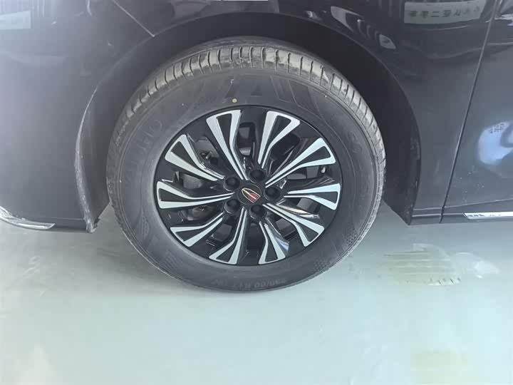 Hongqi HQ9 PHEV 2024 2.0 T 4 WD — фото 23