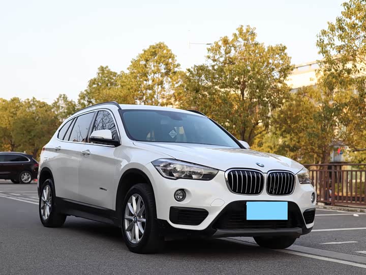 BMW X1 2016 s Drive 18 Li — фото 2