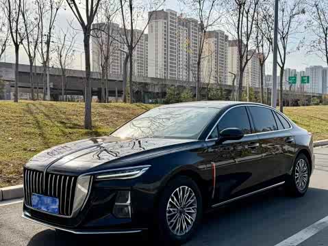 Hongqi H5 2024 1.5 T DCT — фото 10