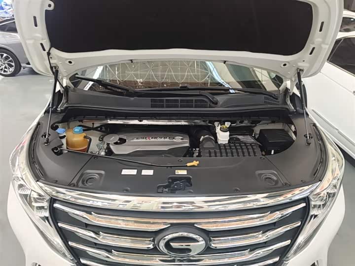 Trumpchi M8 2018 320 T — фото 20