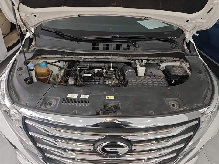Trumpchi M8 2020 390 T — фото 20