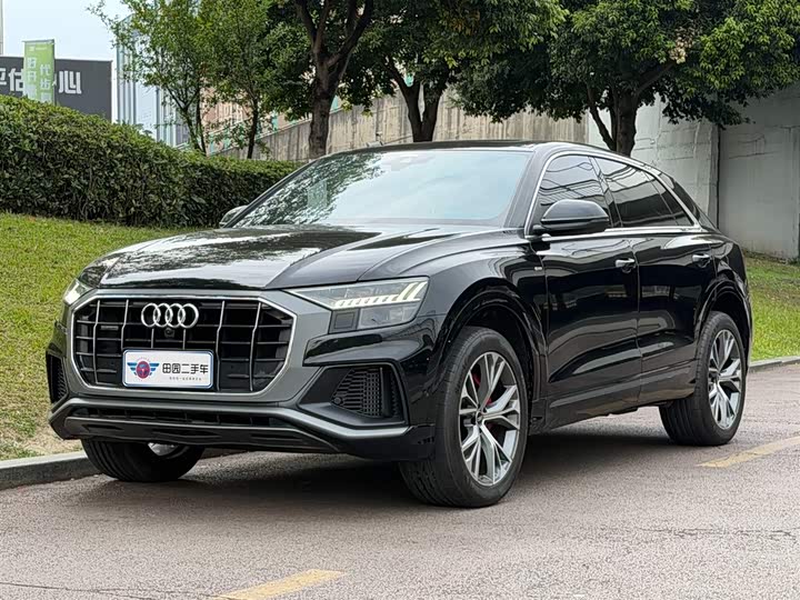 Audi Q8 2021 55 TFSI — фото 1