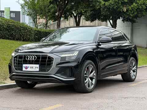 Audi Q8 2021 55 TFSI — фото 12