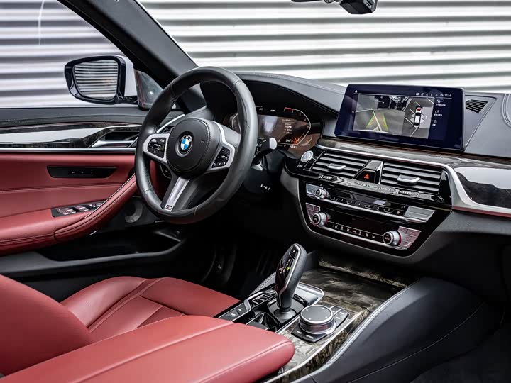 BMW 5-Series 2020 530 Li Leading M — фото 9