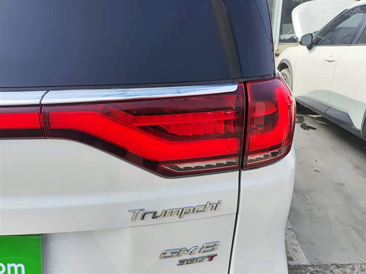 Trumpchi M8 2020 390 T — фото 8