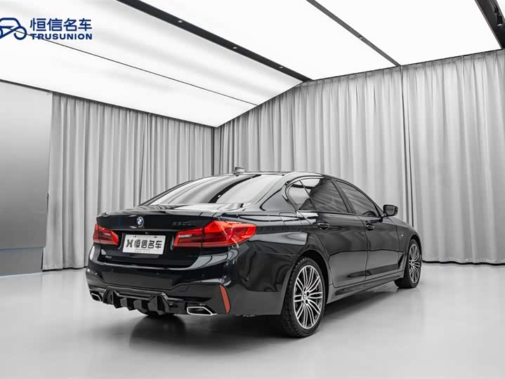 BMW 5-Series 2019 530 Li x Drive M — фото 9