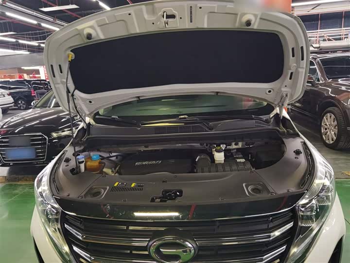 Trumpchi M8 2021 390 T — фото 16