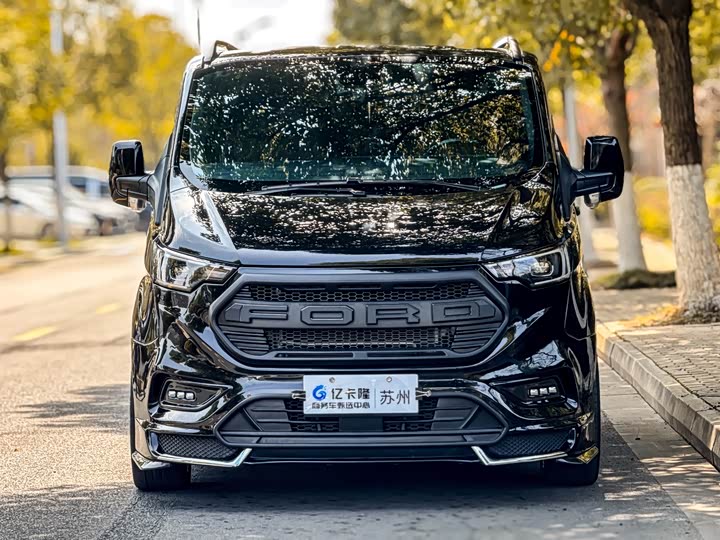 Wensenweier Ford 2025 2.0 T — фото 2