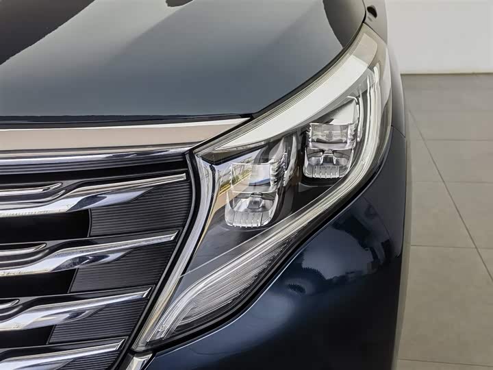 Trumpchi M8 2018 320 T — фото 7
