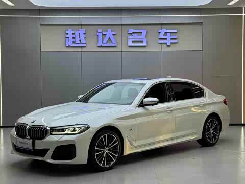 BMW 5-Series 2023 530 Li x Drive M — фото 23