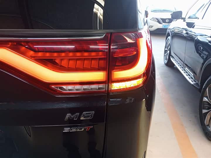 Trumpchi M8 2023 390 T — фото 24