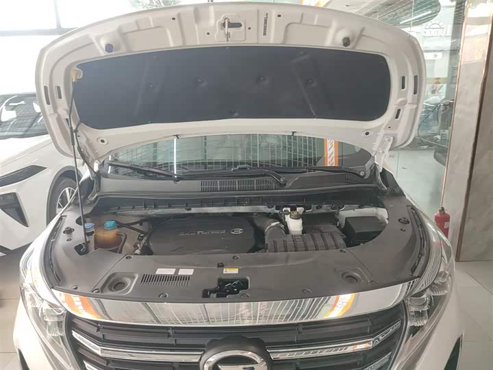 Trumpchi M8 2021 390 T — фото 10