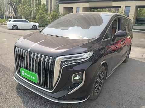 Hongqi HQ9 PHEV 2024 2.0 T 4 WD — фото 26