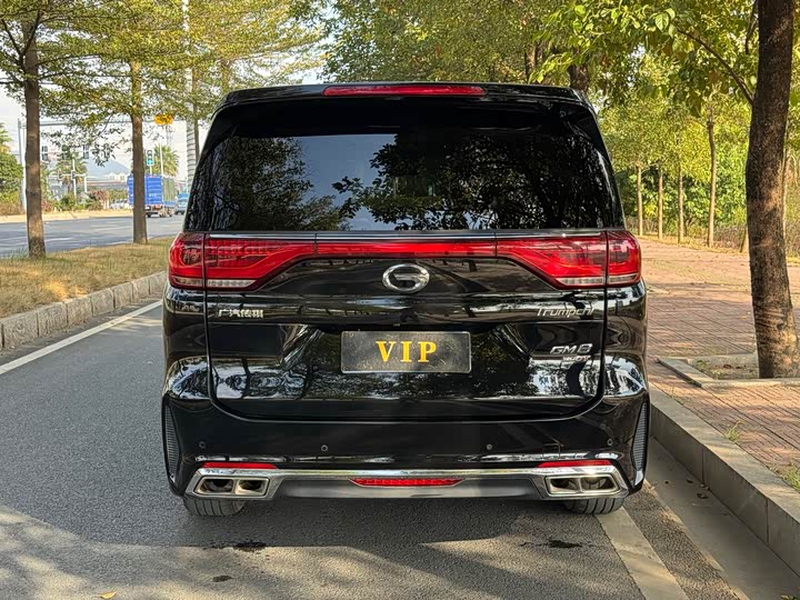 Trumpchi M8 2020 390 T — фото 4