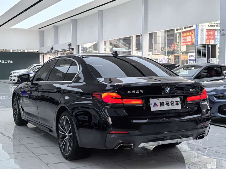BMW 5-Series 2023 530 Li Leading M — фото 15