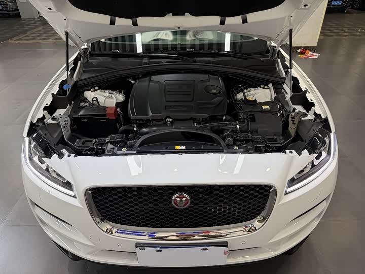 Jaguar F-PACE 2019 2.0 T 2 WD — фото 25