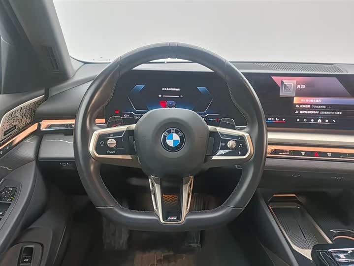 BMW 5-Series 2024 530 Li Leading M — фото 16