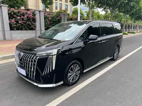 Trumpchi M8 2024 Hybrid — фото 21