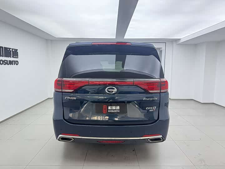 Trumpchi M8 2018 320 T — фото 8