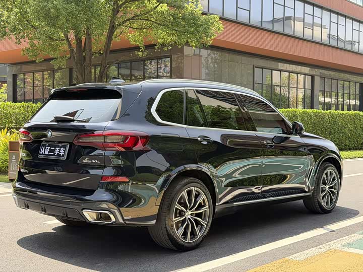 BMW X5 2022 x Drive 30 Li M — фото 6