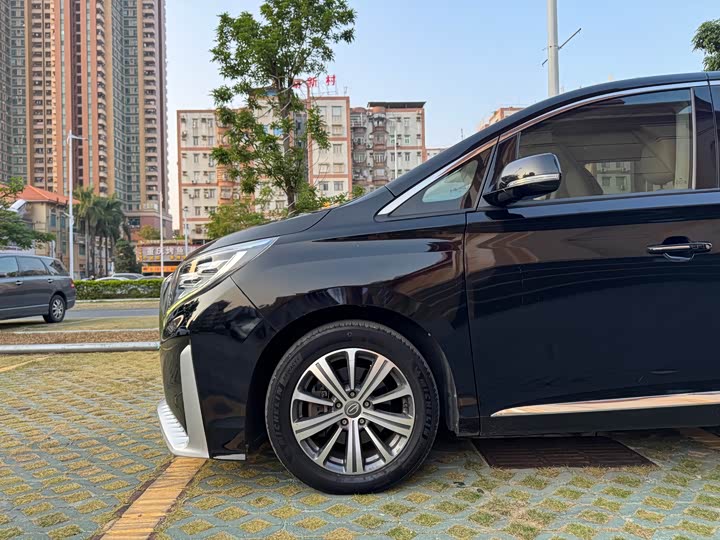 Trumpchi M8 2018 320 T — фото 8