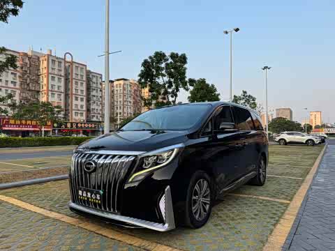 Trumpchi M8 2018 320 T — фото 23