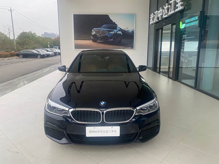 BMW 5-Series 2020 530 Li Leading M — фото 3