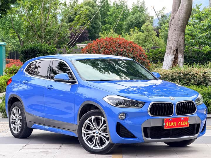 BMW X2 2019 s Drive 25i Luxury M VI — фото 3