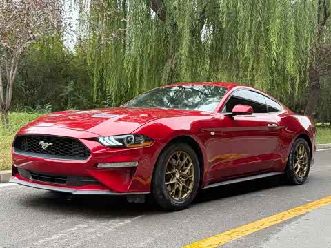 Ford Mustang 2021 2.3 T Eco Boost — фото 7