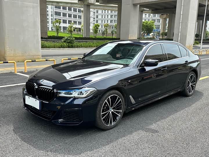 BMW 5-Series 2020 530 Li Leading M — фото 1