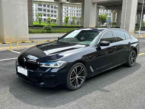 BMW 5-Series 2020 530 Li Leading M — фото 17